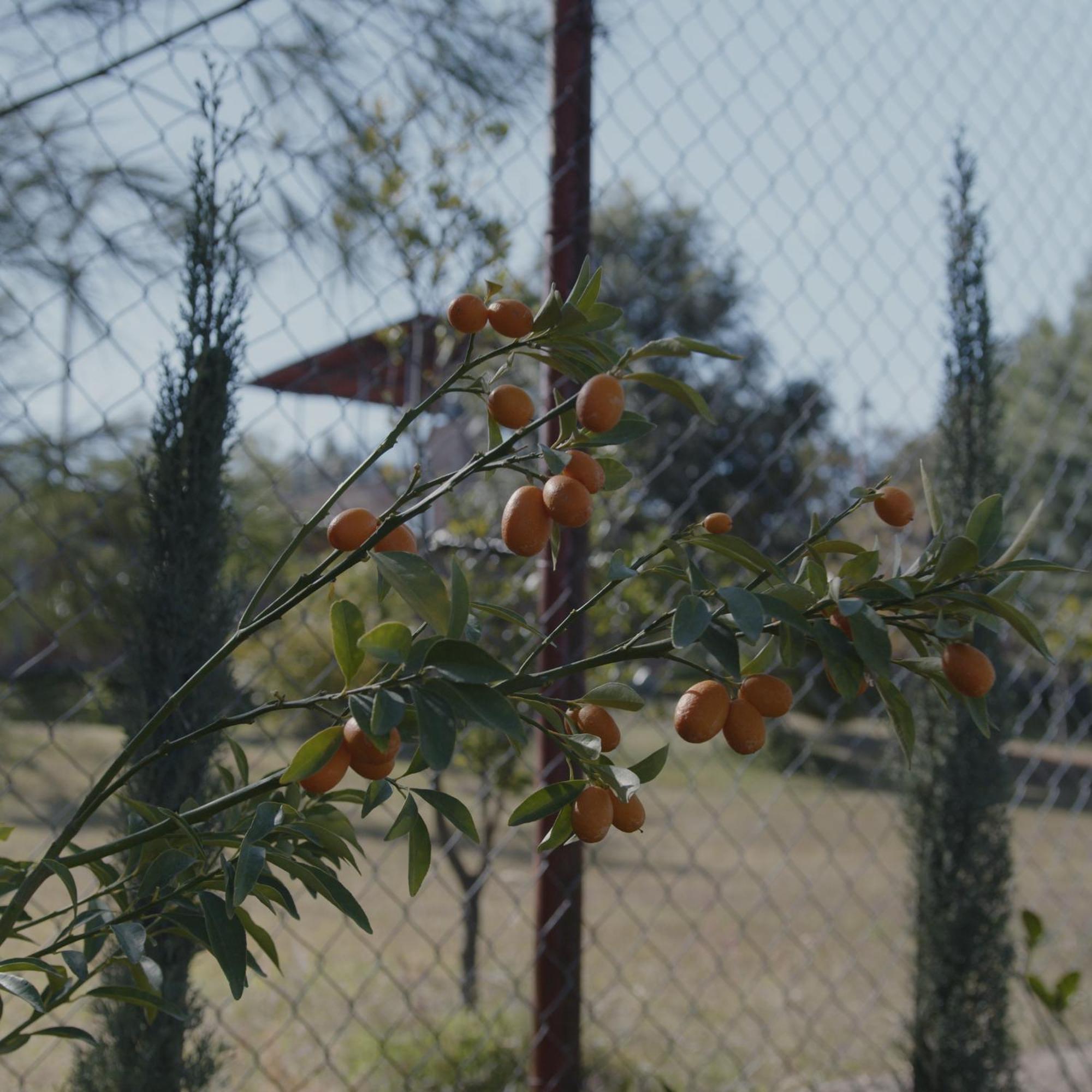 Finca La Cumbre Tepatitlán de Morelos Exteriér fotografie